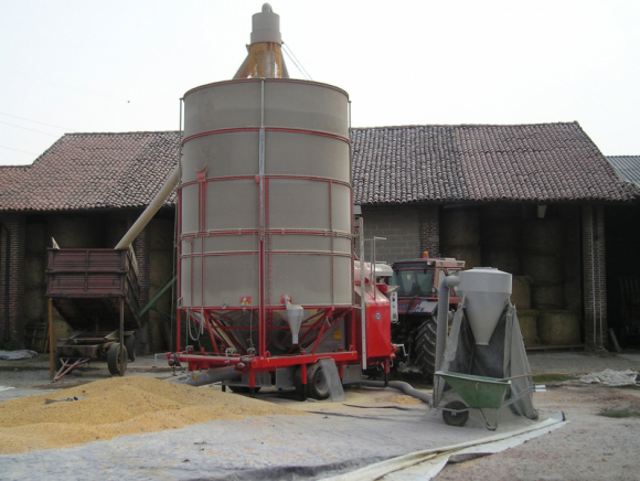 Fratelli Pedrotti LARGE 240