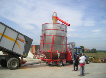 Fratelli Pedrotti LARGE 220